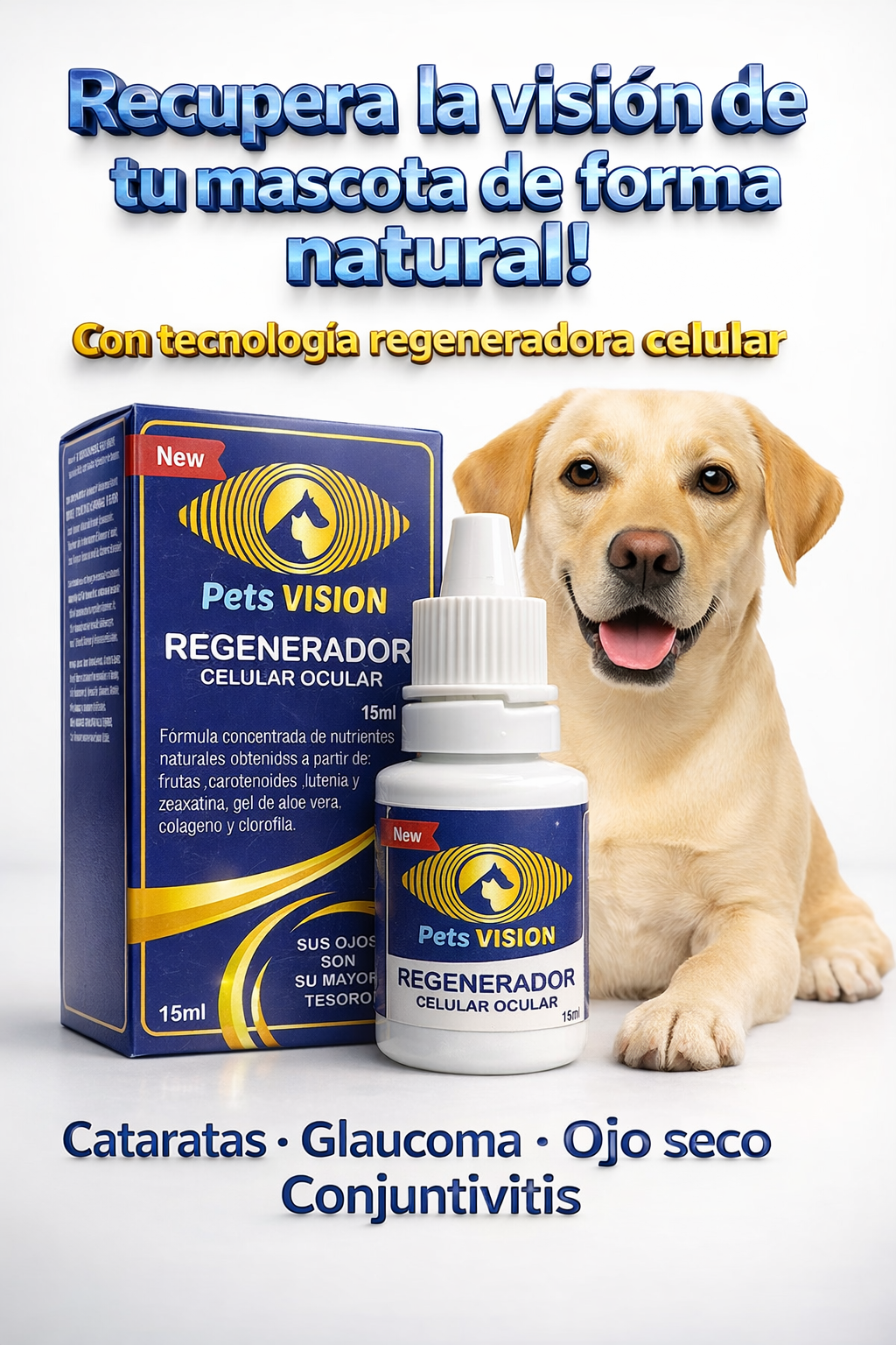 Pets Vision x Todas las Transportadoras